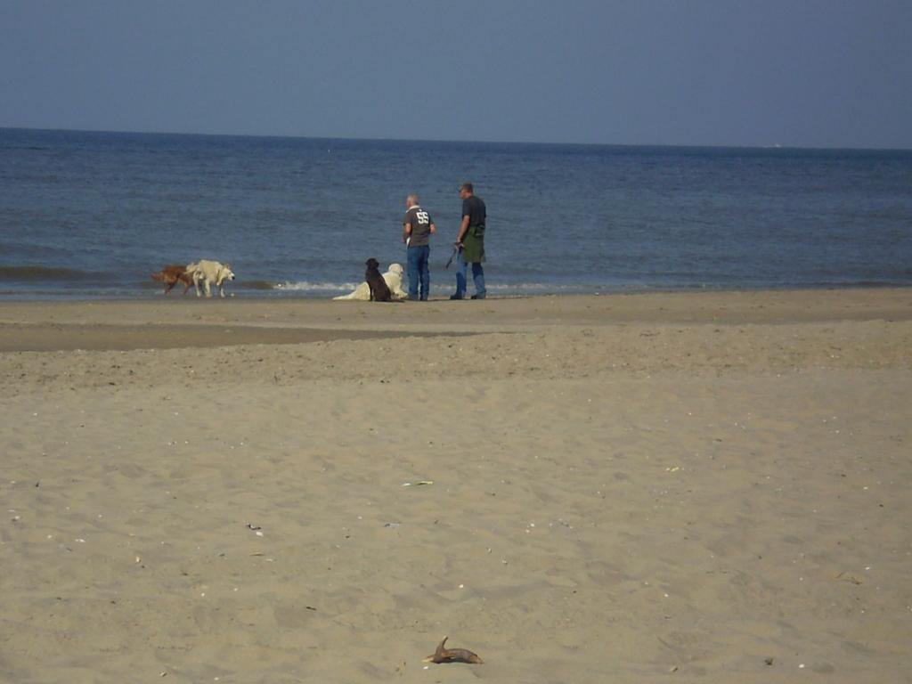 Noordwijk Holiday Rentals Zewnętrze zdjęcie